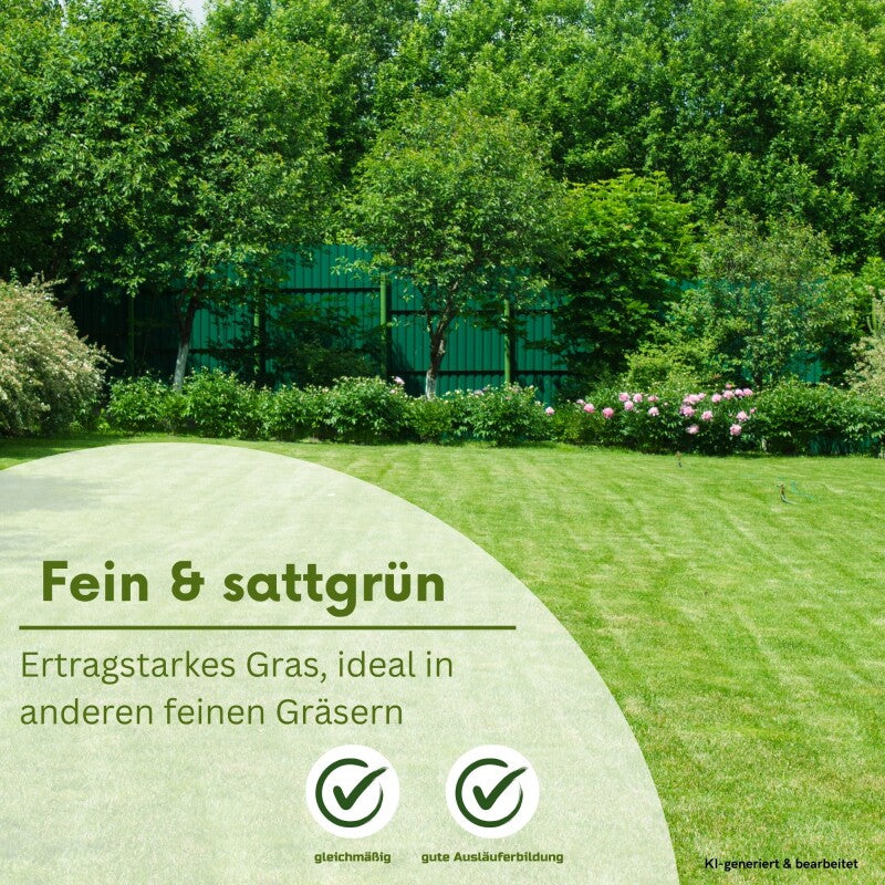  Samenshop24® Repräsentationsrasen 1kg Für 50m²