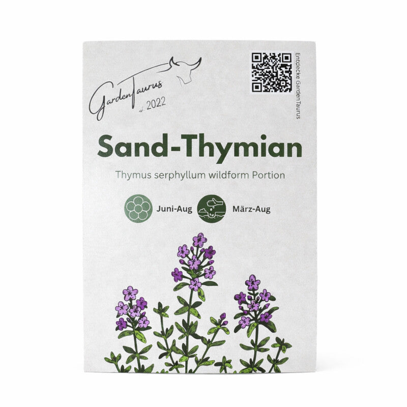  Sand-Thymian Thymus Serphyllum Wildform Bodendecker Trittfest