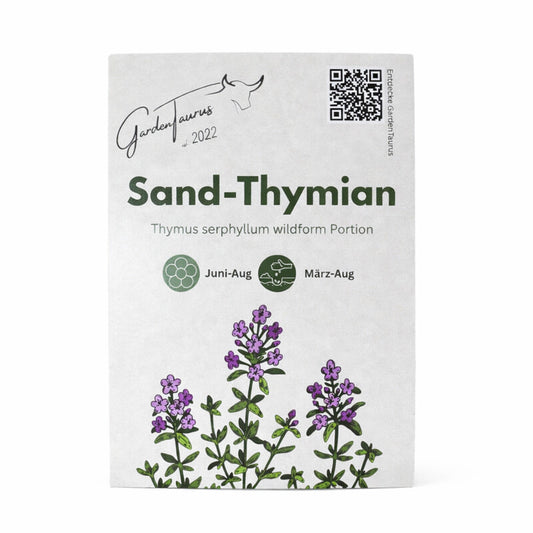  Sand-Thymian Thymus Serphyllum Wildform Bodendecker Trittfest