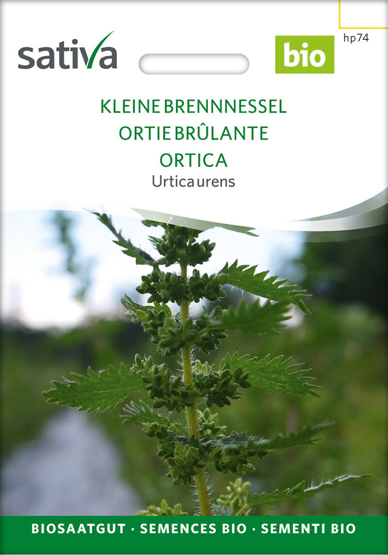  Urtica Urens KLEINE BRENNNESSEL Heilpflanzensamen