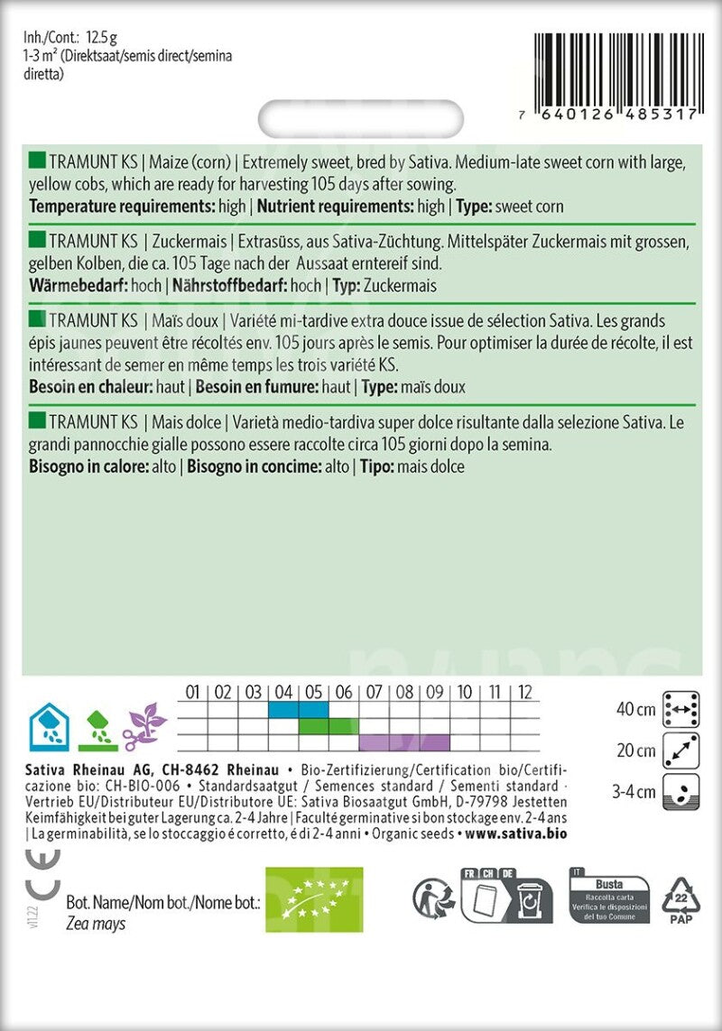  Zuckermais TRAMUNT KS, Extrasüss, Aus Sativa-Züchtung. Mittelspäte Sorte