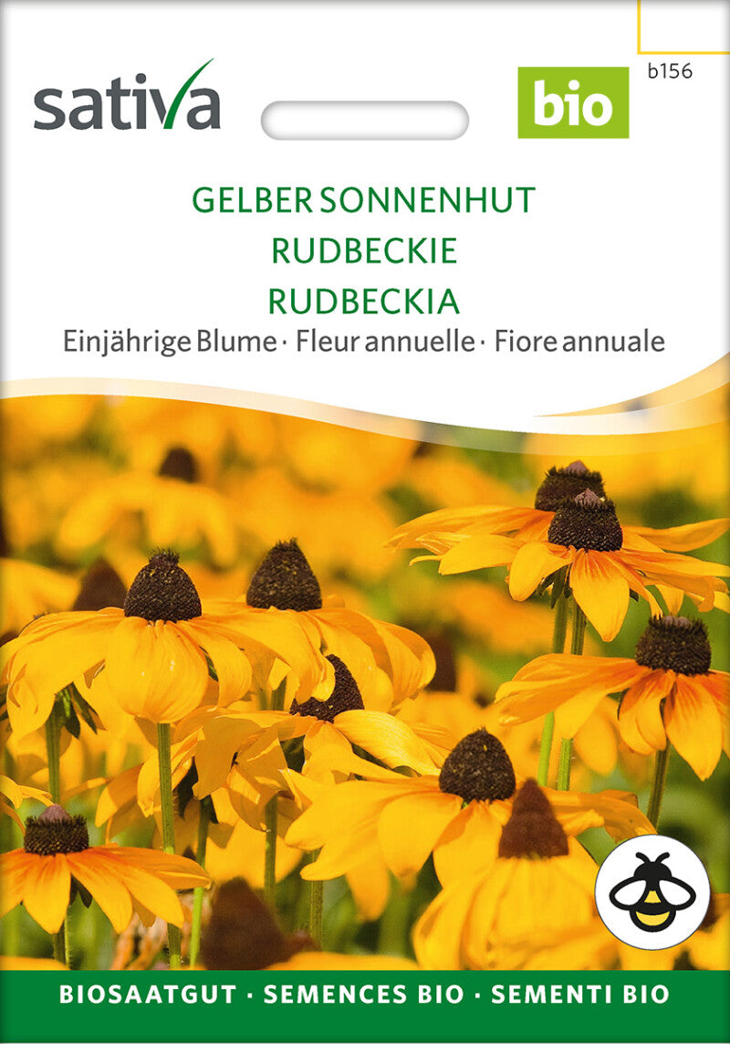  Einjährige Blume GELBER SONNENHUT Schnitt- Und Trockenblume