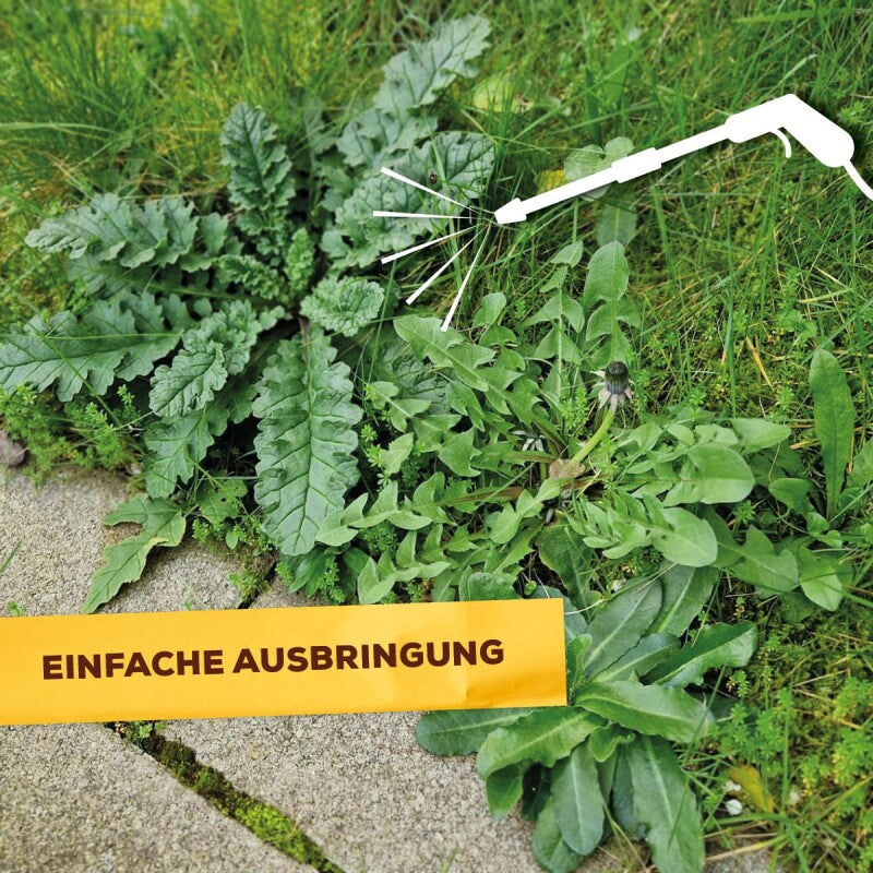  Solabiol Grundstoff Acetum, Für Die Beseitigung Von Unkraut Auf Wegen, Plätzen Und Terrassen
