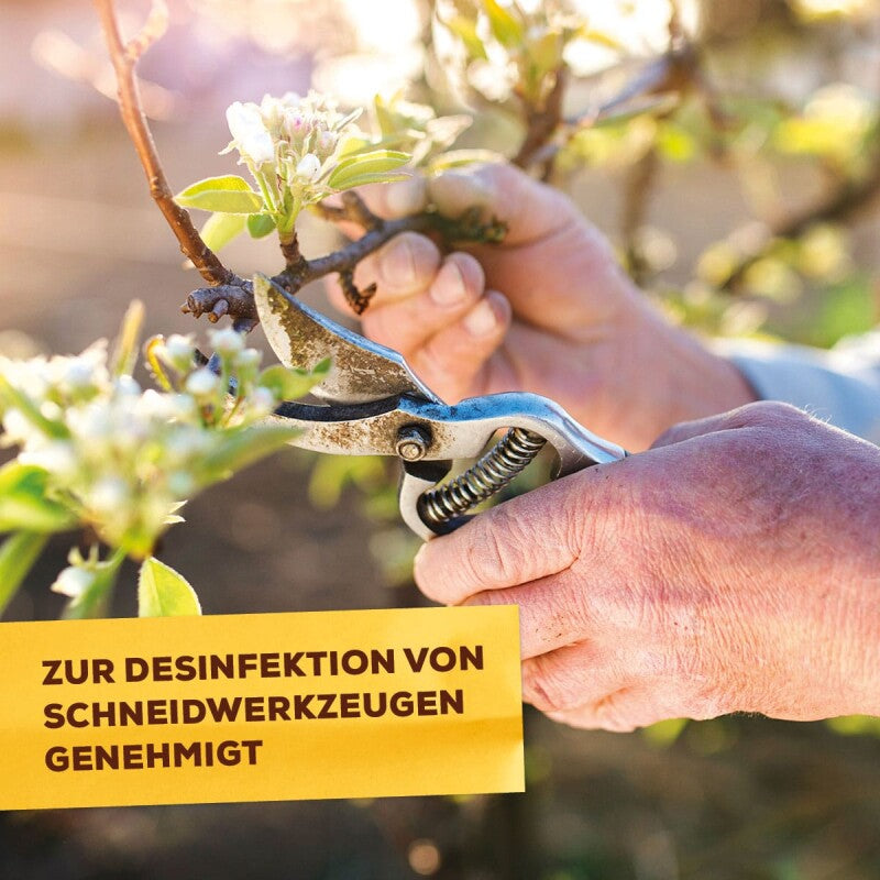  Solabiol Grundstoff Acetum, Für Die Beseitigung Von Unkraut Auf Wegen, Plätzen Und Terrassen