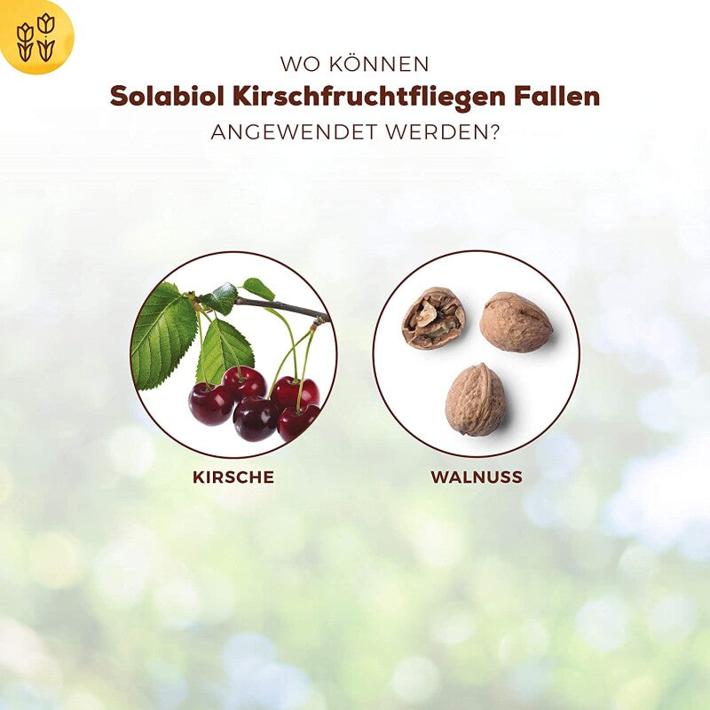  Solabiol Kirschfruchtfliegen Fallen, Mit Lockstoff Und Gelbtafel, Zur Befallsermittlung Von Kirschfruchtfliege Und Walnussfruchtfliege, 5 Stück