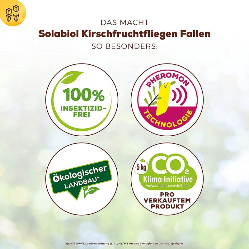  Solabiol Kirschfruchtfliegen Fallen, Mit Lockstoff Und Gelbtafel, Zur Befallsermittlung Von Kirschfruchtfliege Und Walnussfruchtfliege, 5 Stück