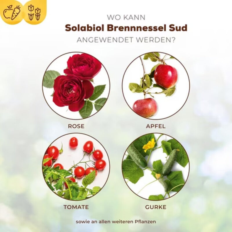  Solabiol Brennnessel Sud, Biologisches Pflanzenstärkungsmittel Zur Kräftigung Und Stärkung Schädlingsanfälliger Pflanzen, 1 Liter