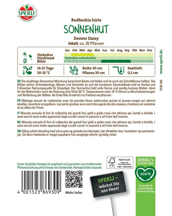  Sonnenhut Denver Daisy, Nahrungsquelle Für Nützinge, Gute Schnittblume