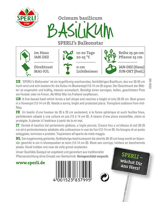  Basilikum SPERLING`s Balkonstar | Sehr Beliebtes Würz- U Heilkraut | Kleinblättrige Sorte