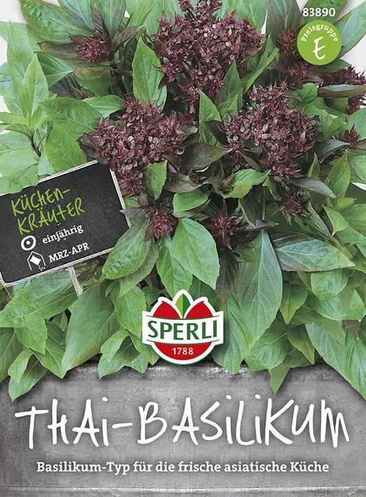 Basilikum Thai-Basilikum