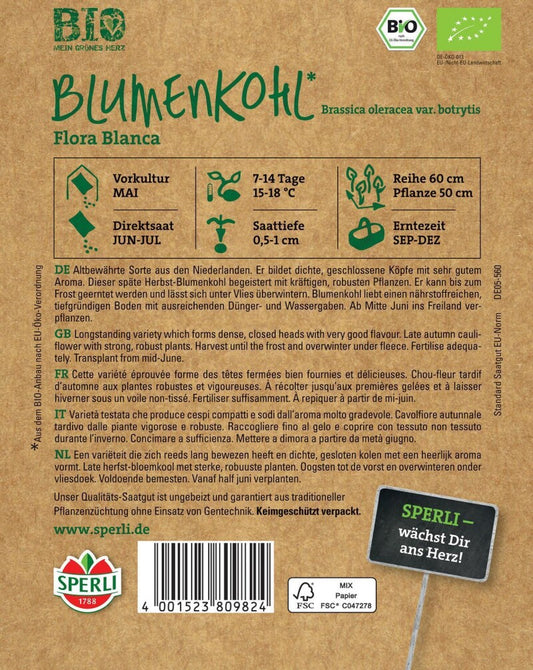  BIO Blumenkohl, Bildet Dichte Geschlossene Köpfe Mit Sehr Gutem Aroma