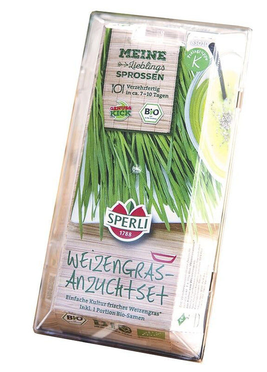  BIO Keimsprossen Weizengras Starter-Set
