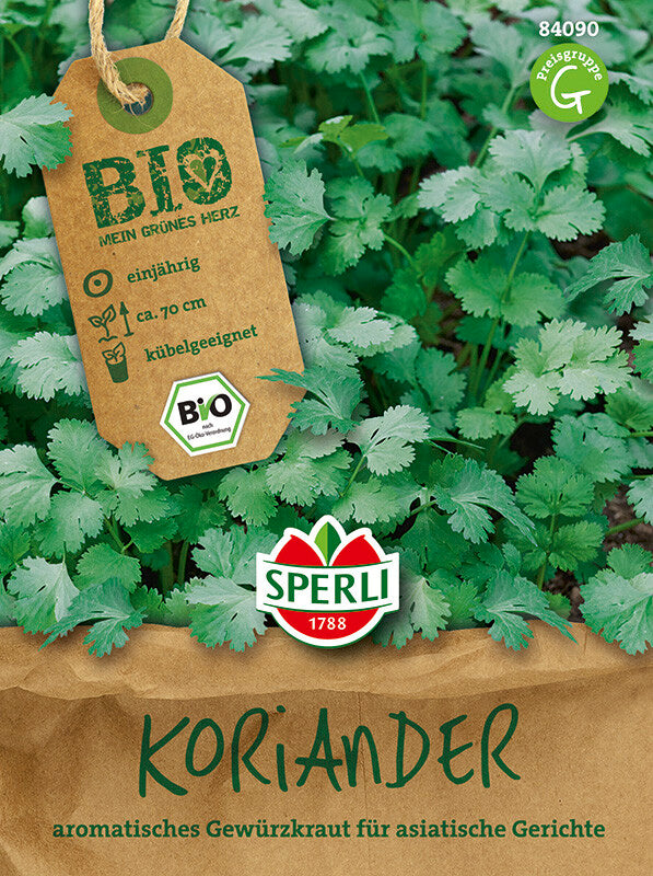  BIO Koriander Coriandrum Sativum