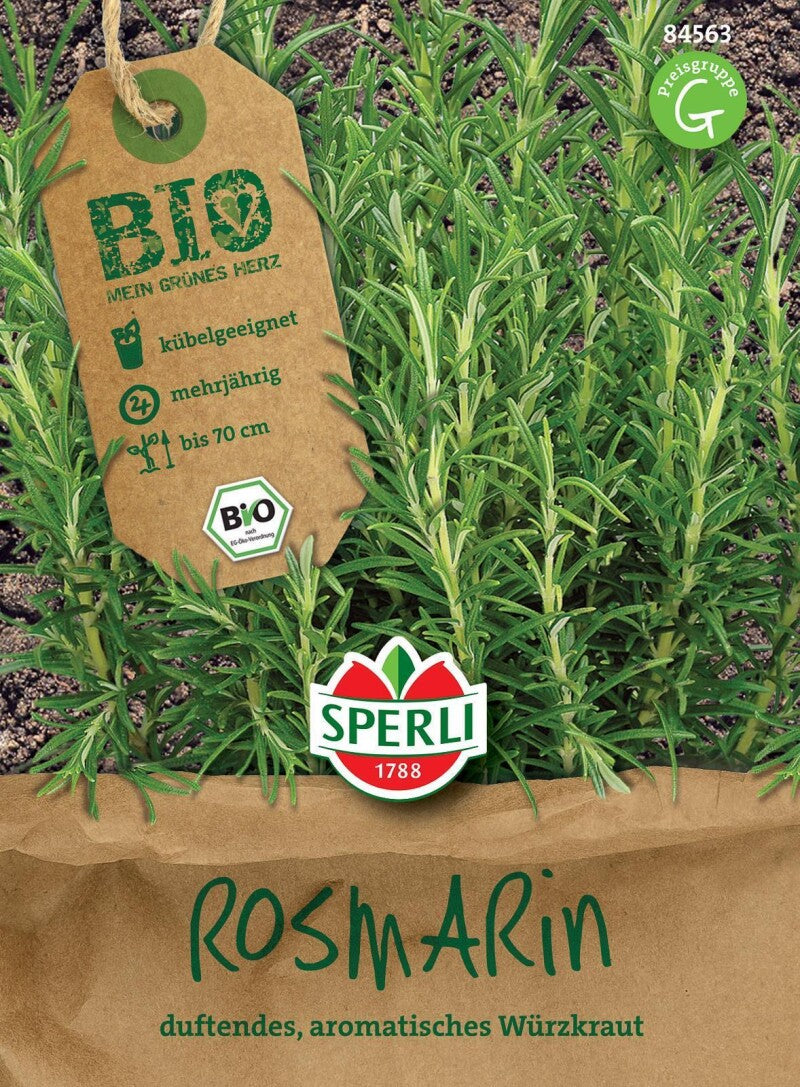  BIO Rosmarin, Intensiv Duftendes Immergrünes Würzkraut