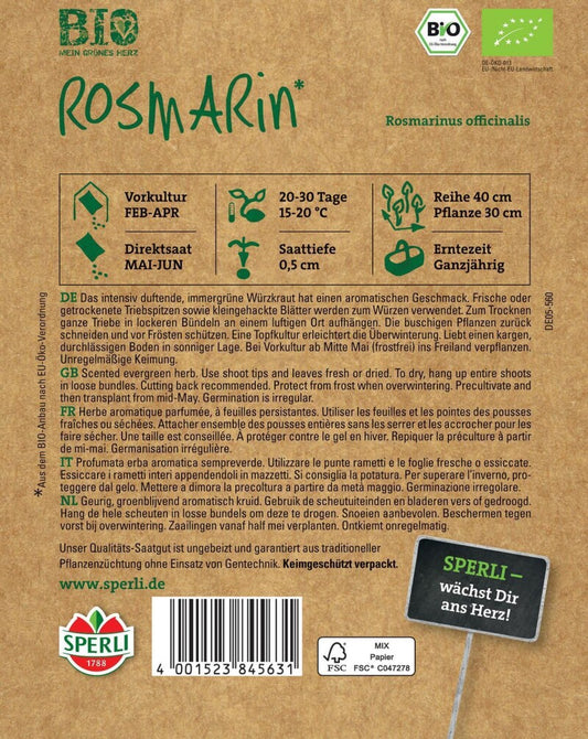  BIO Rosmarin, Intensiv Duftendes Immergrünes Würzkraut