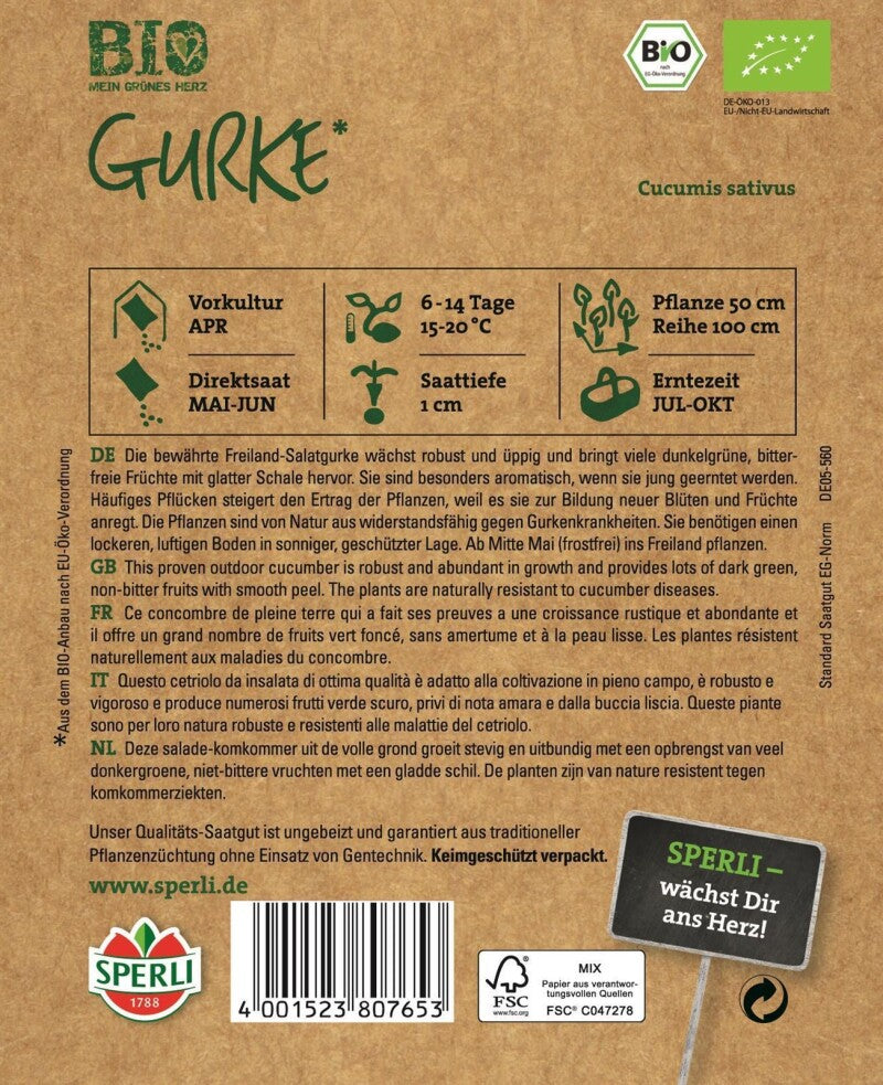  Salatgurke BIO