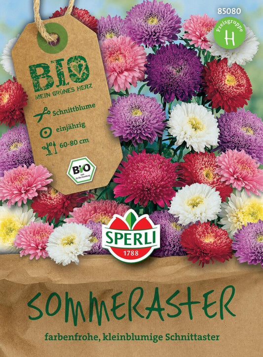  BIO Sommeraster, Kleinblumige Gefüllt Blühende 'Zuckertüten Mix' Begeistert Durch Die Riesige Farbvielfalt