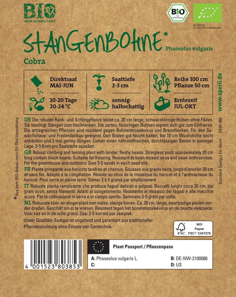  BIO Stangenbohne, Mit Zarten Fleischigen Bohnen, Für Gewächshaus- Und Freilandanbau Geeignet