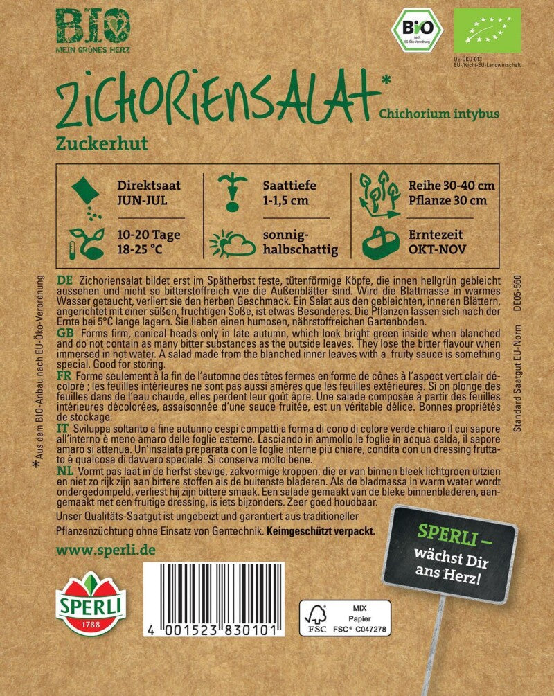  BIO Zichoriensalat, Bildet Im Spätherbst Feste Tütenförmige Köpfe, Lange Lagerfähigkeit