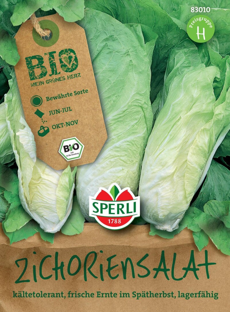  BIO Zichoriensalat, Bildet Im Spätherbst Feste Tütenförmige Köpfe, Lange Lagerfähigkeit