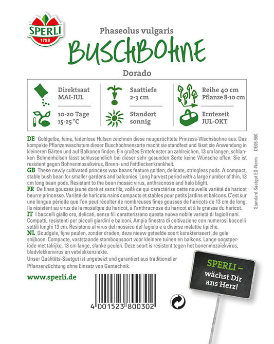  Buschbohne Dorado | Goldgelbe Feine Fadenlose Hülsen | Standfest | Resistent