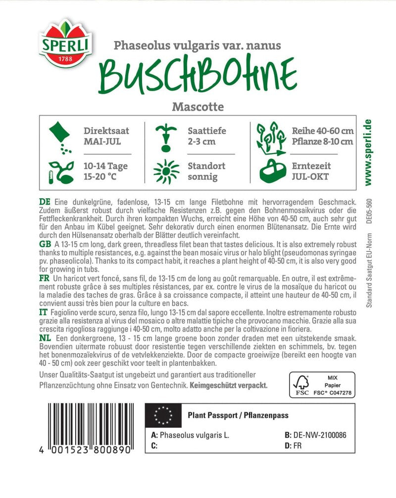  Buschbohne Mascotte, überzeugt Als Filetbohne Mit Ihrem Hervorragendem Geschmack