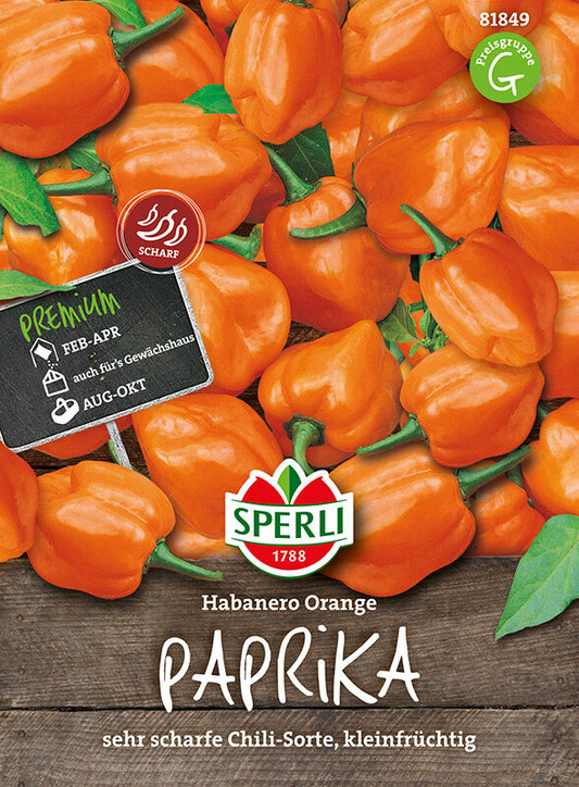  Chili Habanero Orange, Sehr Scharfe Chili-Sorte Mit Kleinen Orangefarbenen Früchten