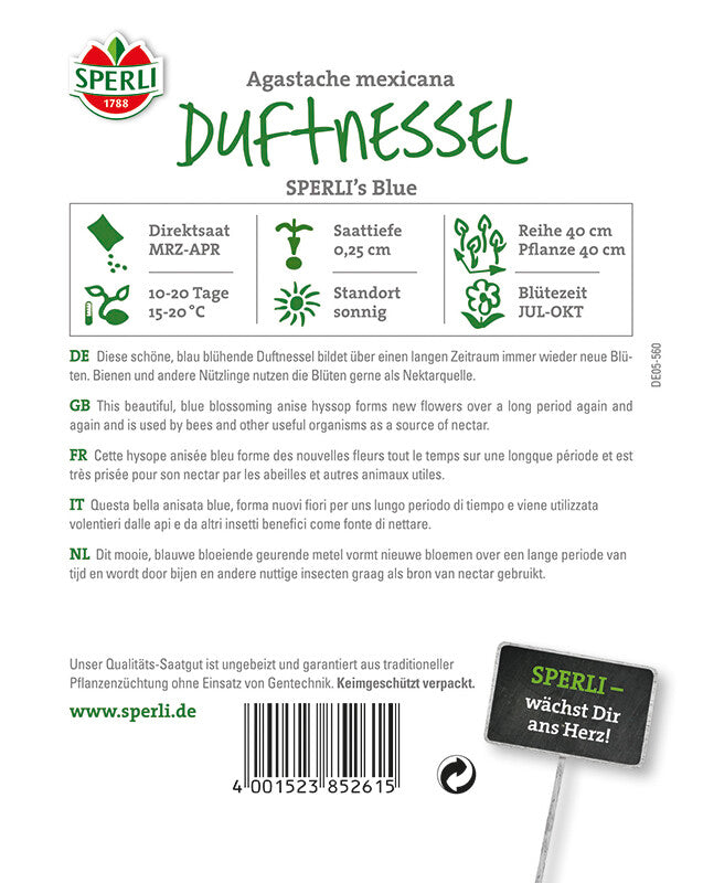  Duftnessel Sperli`s Blue, Blau Blühend, Bienen Und Andere Nützlinge Nutzen Die Blüten Gerne Als Nektarquelle