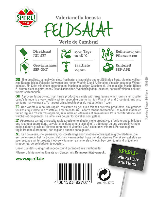  Feldsalat Verte De Cambrai (Rapunzel)