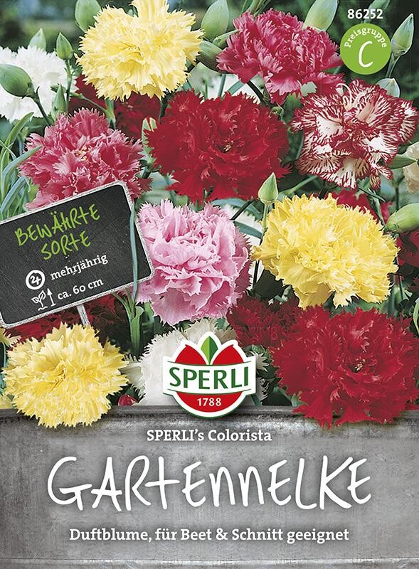  Gartennelke SPERLING`s Colorista