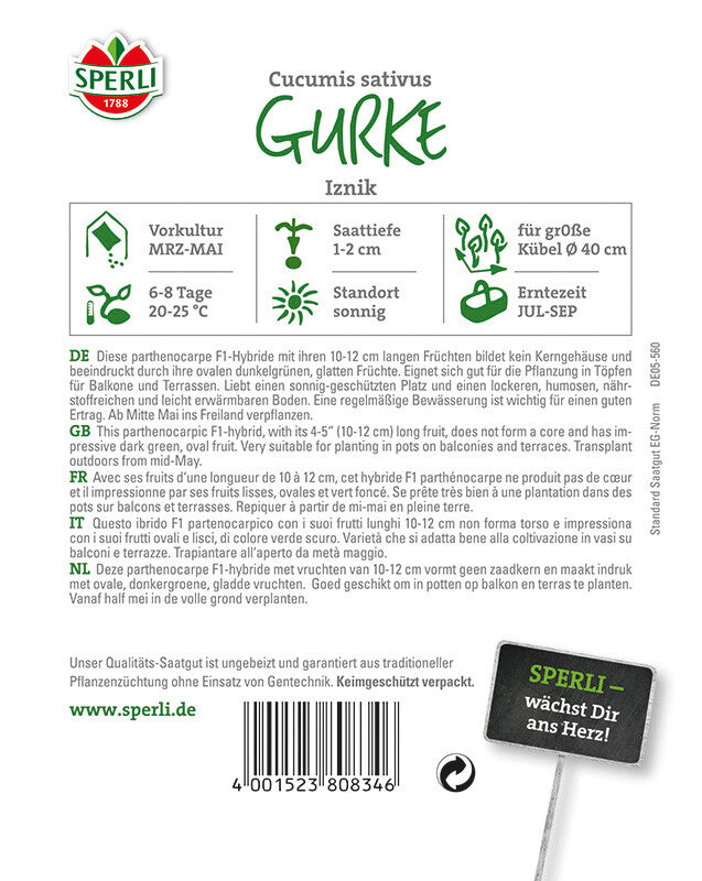  Gurke Iznik F1 (Cocktailgurke)