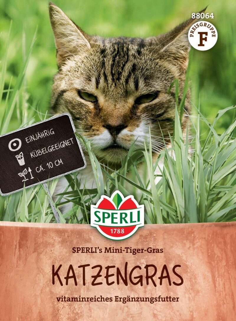  Katzengras SPERLI's Mini-Tiger-Gras Regt Die Verdauung An