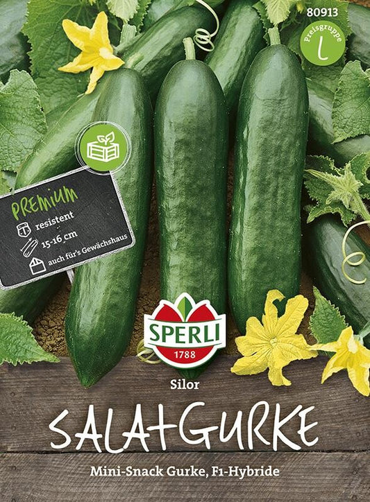  Salatgurke Mini-Snack Gurke Silor F1