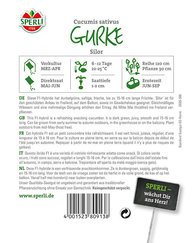  Salatgurke Mini-Snack Gurke Silor F1