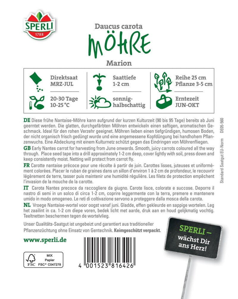  Möhre Marion F1, Frühe Nantaise-Möhre, Entwickeln Einen Saftigen Aromatischen Geschmack
