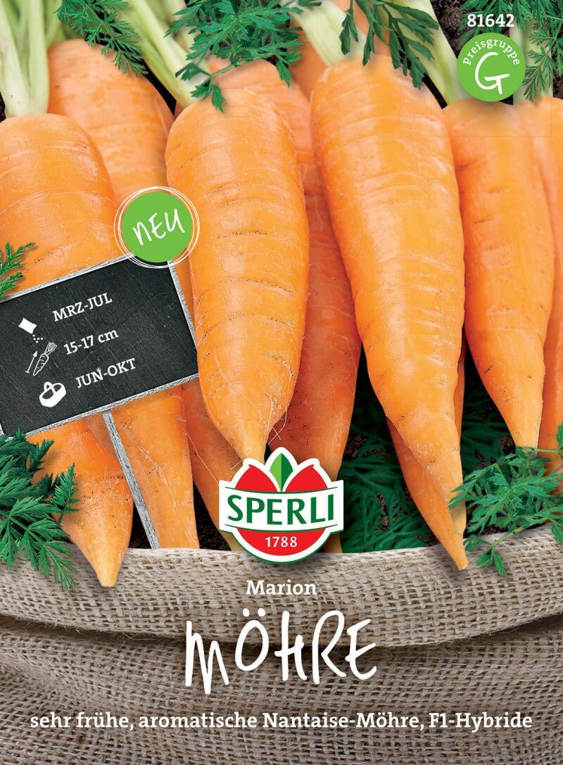  Möhre Marion F1, Frühe Nantaise-Möhre, Entwickeln Einen Saftigen Aromatischen Geschmack