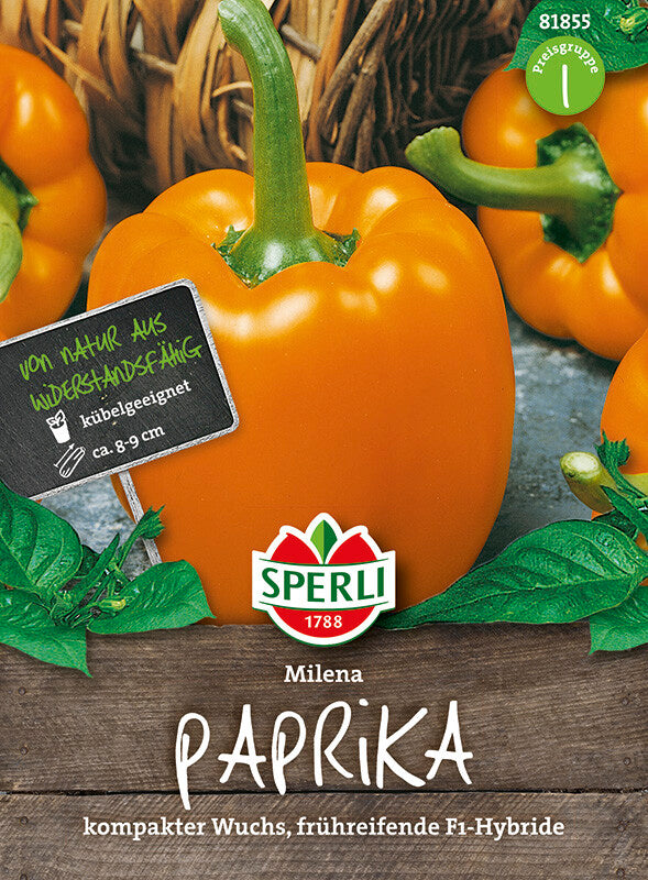  Paprika Milena F1 Gelb-Orange