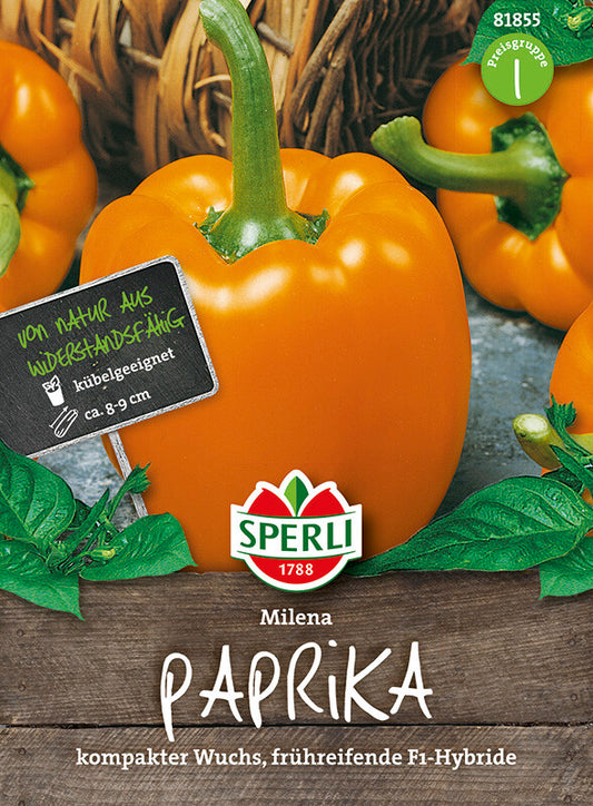  Paprika Milena F1 Gelb-Orange