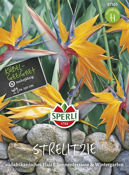  Paradiesvogelblume Strelitzia ReginaeSperling`s Papagei