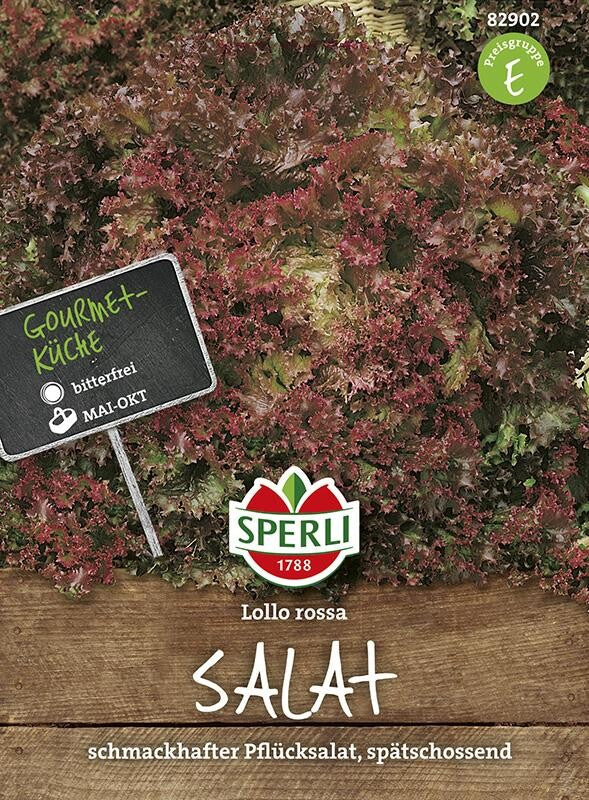  Pflücksalat Lollo Rossa, Spät Schießend, äußerst Schmackhaft Enthält Wenige Bitterstoffe