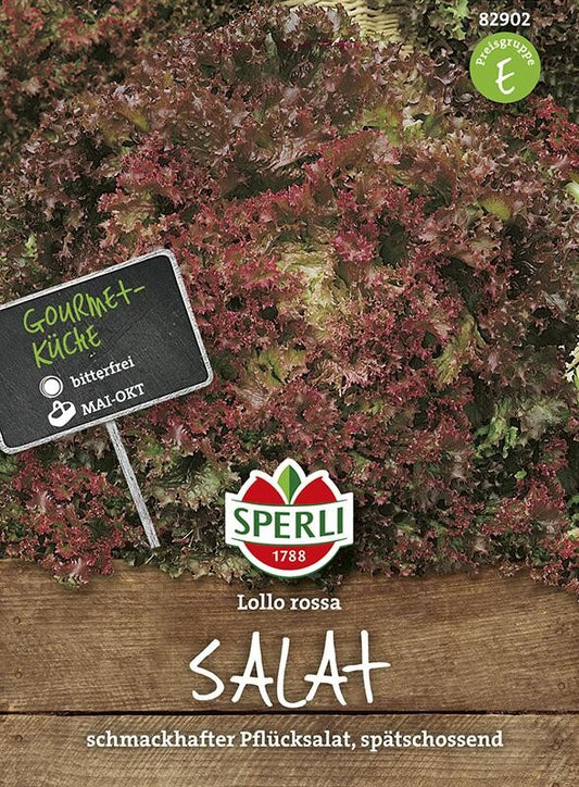  Pflücksalat Lollo Rossa, Spät Schießend, äußerst Schmackhaft Enthält Wenige Bitterstoffe