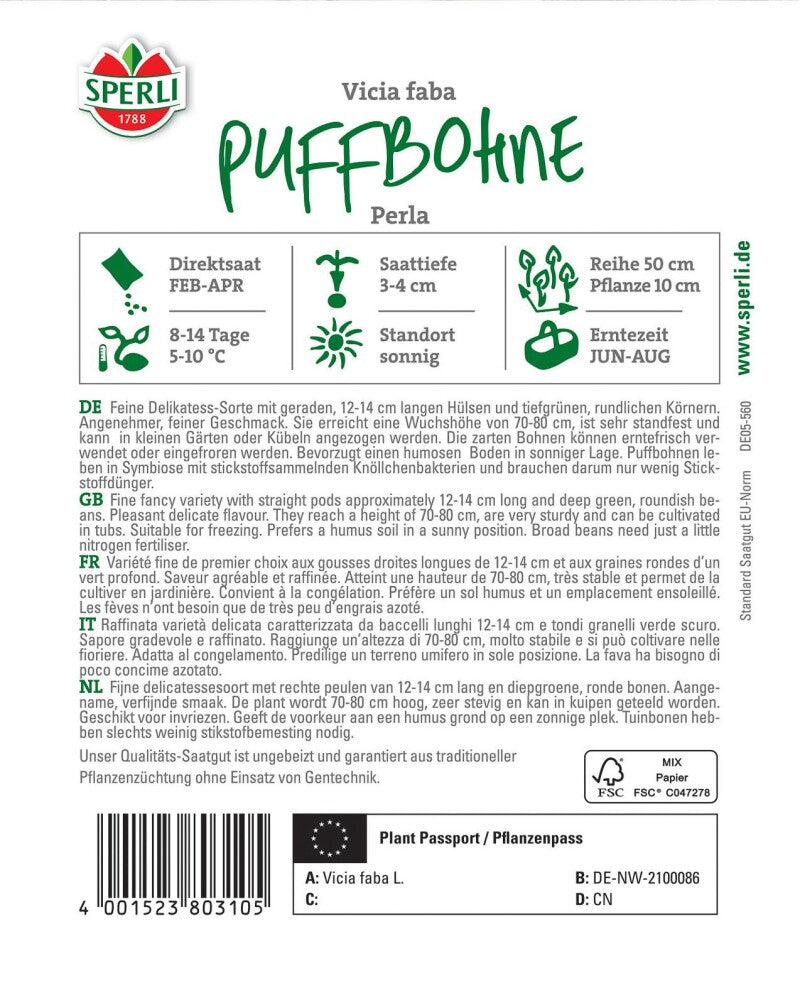  Puffbohne Perla, Feinkörnige Dicke Bohne, Gefrier-Sorte, Für Hochbeet Und Kübel Geeignet
