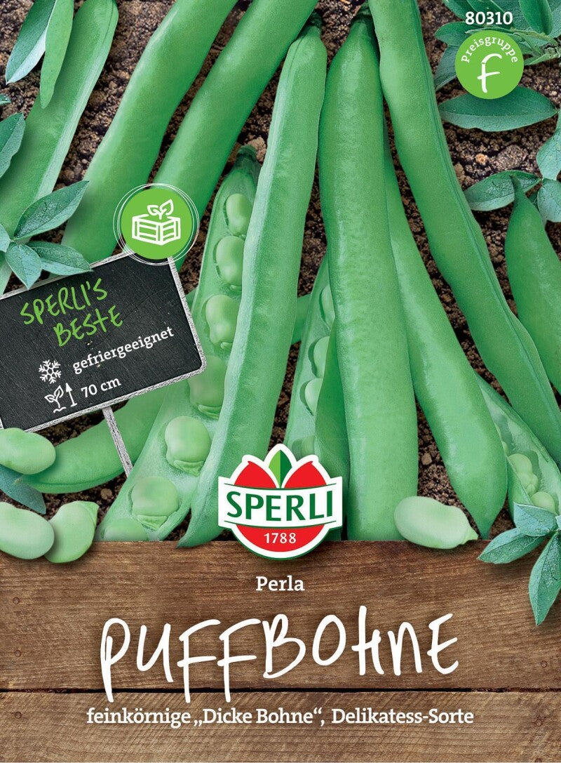  Puffbohne Perla, Feinkörnige Dicke Bohne, Gefrier-Sorte, Für Hochbeet Und Kübel Geeignet