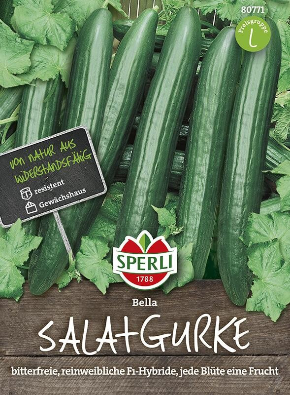  Gurke Salatgurke Bella F1rein Weiblich