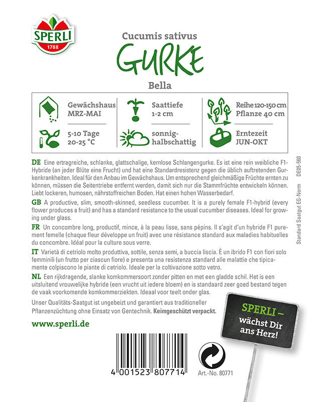  Gurke Salatgurke Bella F1rein Weiblich