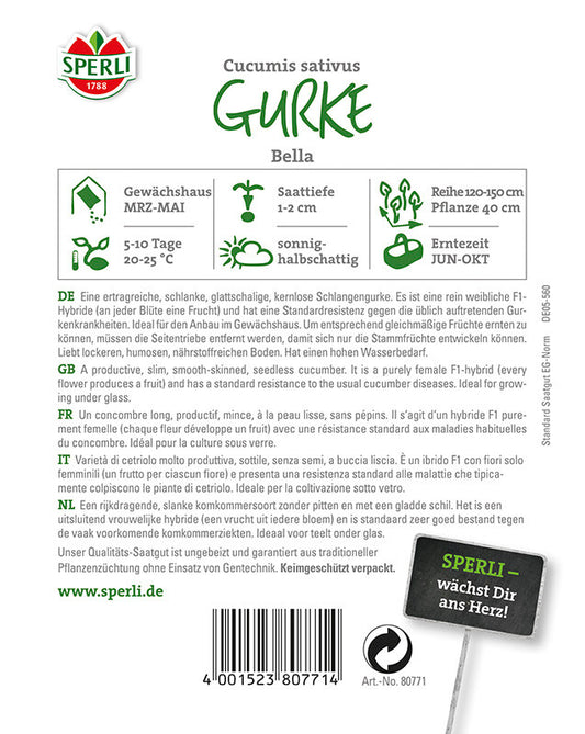  Gurke Salatgurke Bella F1rein Weiblich