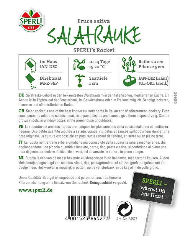  Salatrauke SPERLING´s Rocket (Senfrauke)