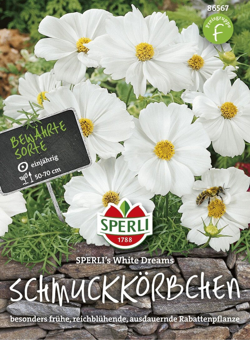  Schmuckkörbchen SPERLI's White Dreams, Besonders Frühe Reichblühende Rabattenpflanze