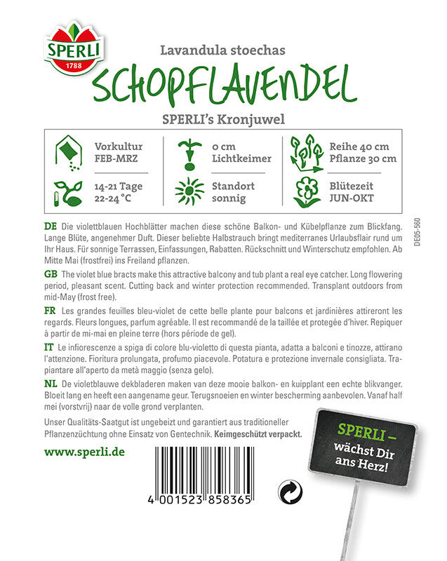  Schopflavendel Sperling´s Kronjuwel