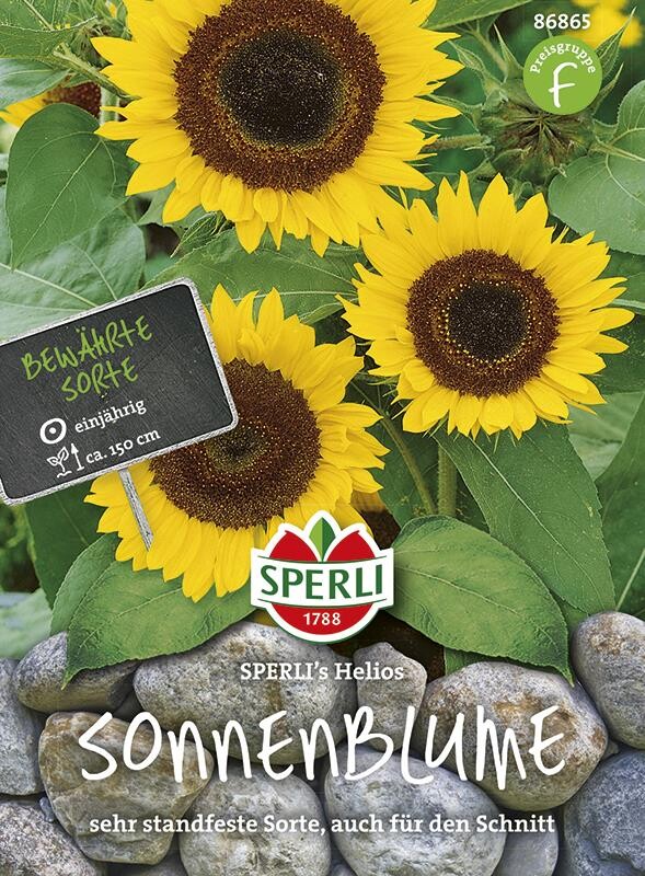  Sonnenblumen Helios